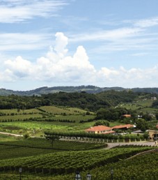 2013_VIINI3_Brasilian_tarhoilla_1000x388px