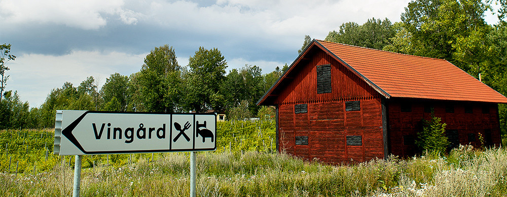 2013-viini-5-blaxta-vingord-1000x388px