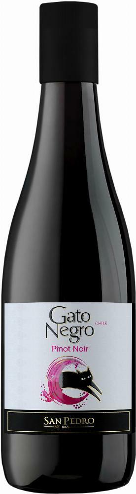 Gato Negro Pinot Noir muovipullo 2019