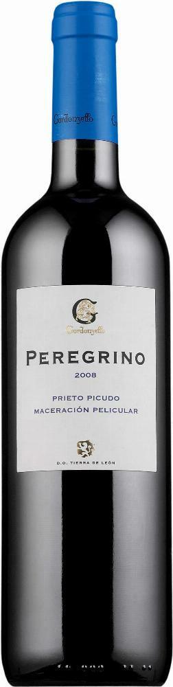Peregrino Prieto Picudo 2009