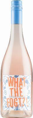 What the Fogt Secco Rosé 2025