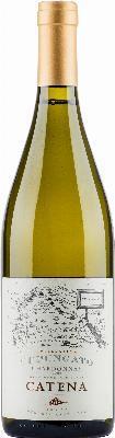 Catena Tupungato Chardonnay 2023