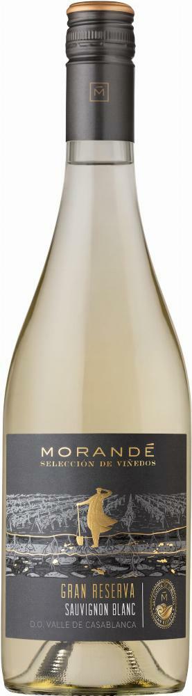 Morandé Selección de Viñedos Gran Reserva Sauvignon Blanc 2023