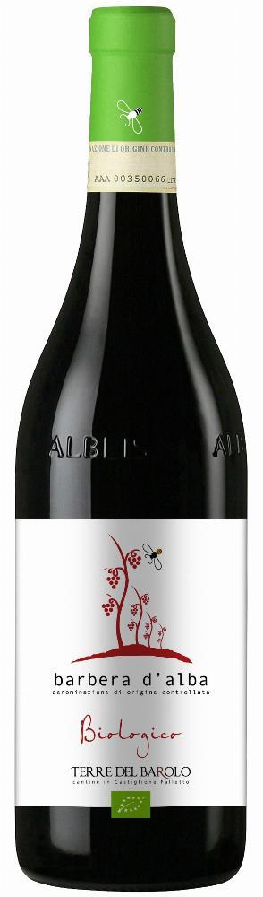 Terre del Barolo Barbera d'Alba Biologico 2024