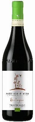 Terre del Barolo Nebbiolo d'Alba Biologico 2022