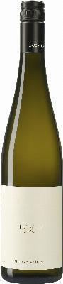 Loimer Löyly Grüner Veltliner 2025