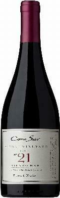 Cono Sur Single Vineyard Block 21 Pinot Noir 2022