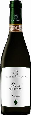 Roberto Sarotto Gavi Virgilio 2024