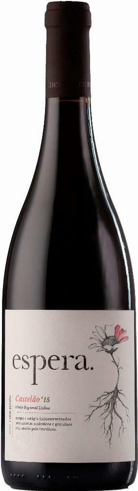 Espera Castelão 2015