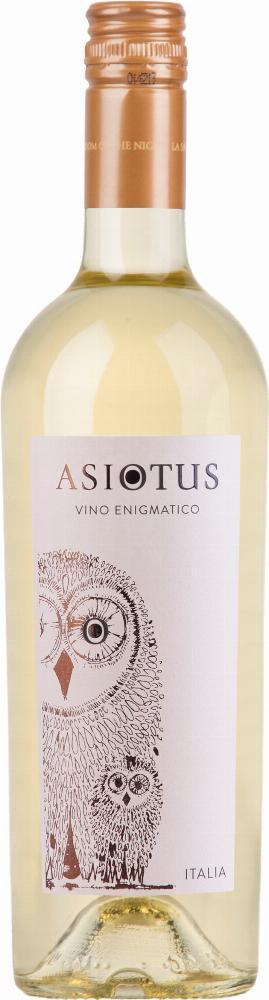 Asio Otus Bianco