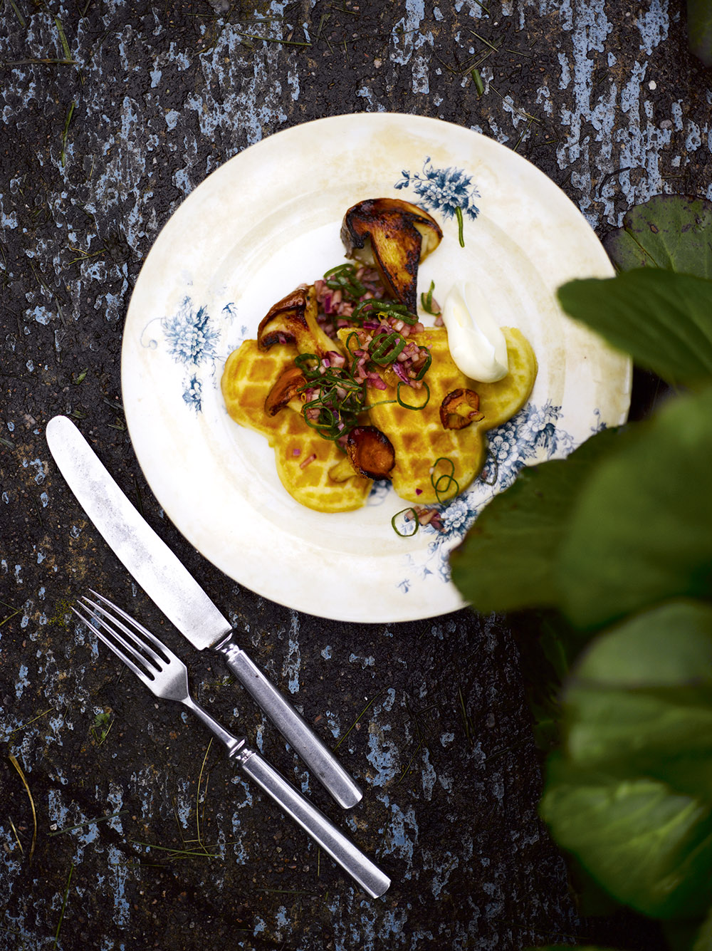 photo_sami_repo_079201 Viinilehti