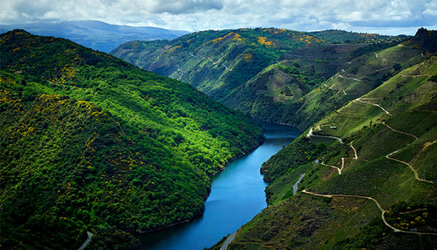 Ribeira Sacra - maailman kaunein viinialue