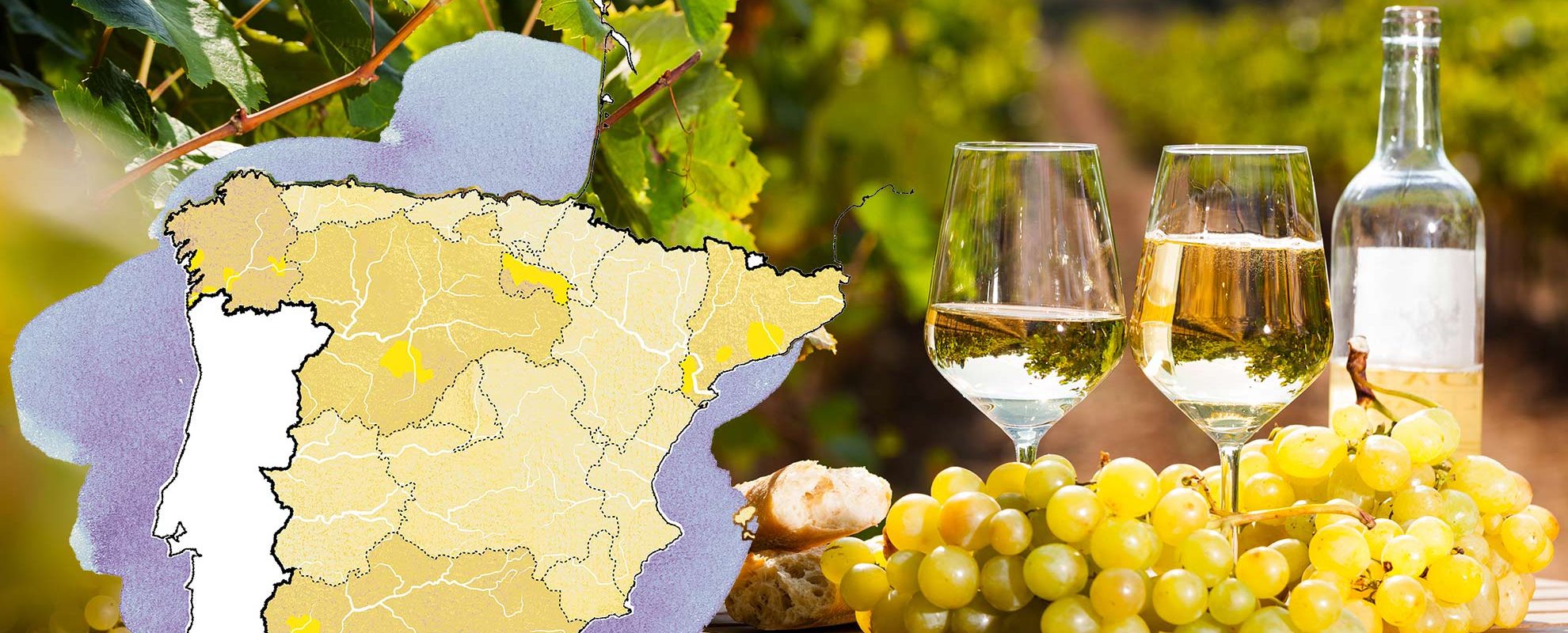 Espanjalaiset valkoviinit ja Espanjan viinialueet