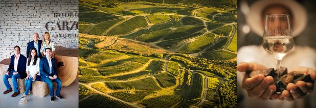 Bodega Garzón