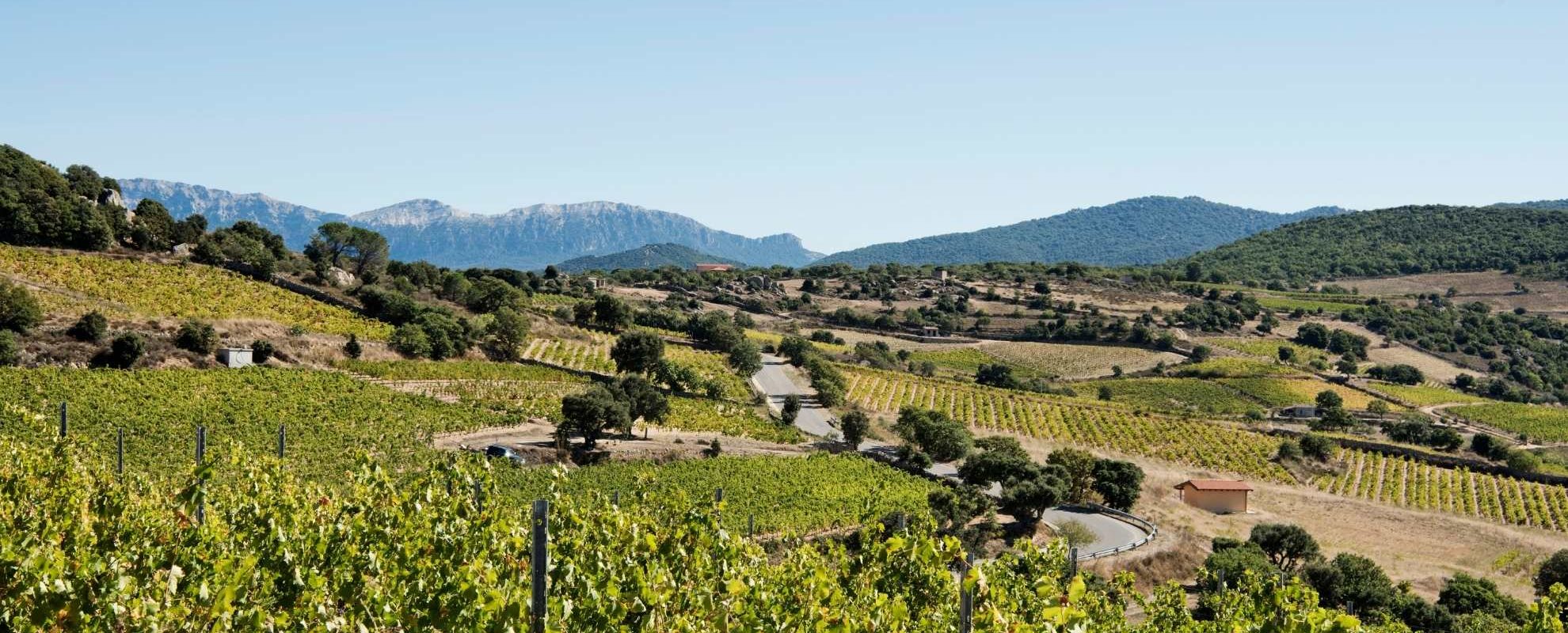 Sardinia – Sardinialaiset viinit