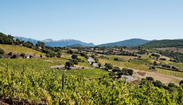 Sardinia – Sardinialaiset viinit