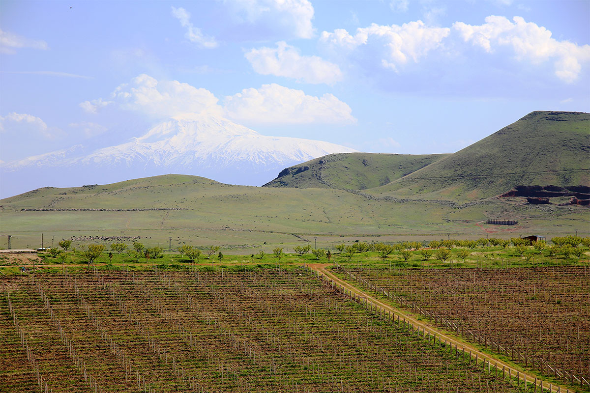 Armenia Van Ard