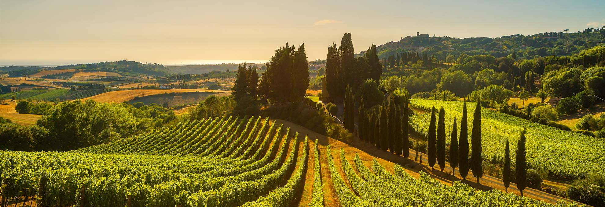 Toscanalaiset viinit
