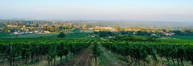 Chateau Carsin