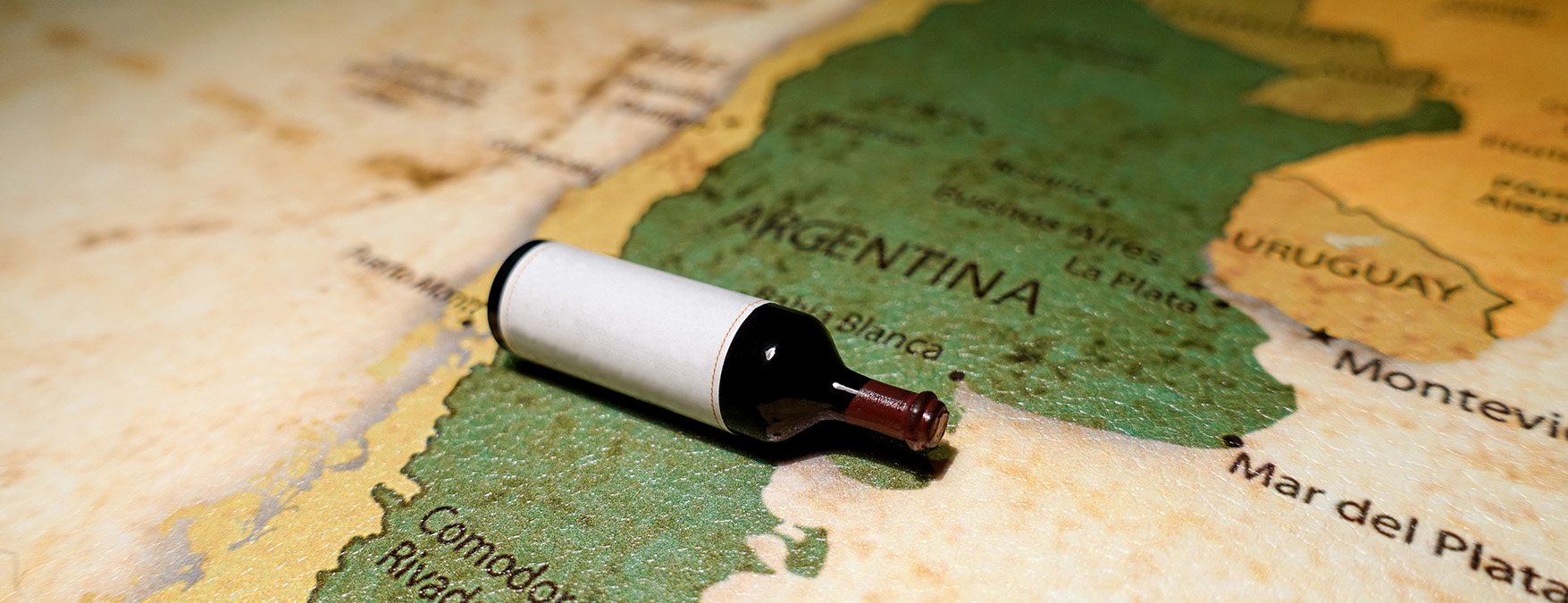 Kuva: Argentiinalaiset viinit - ShutterStock