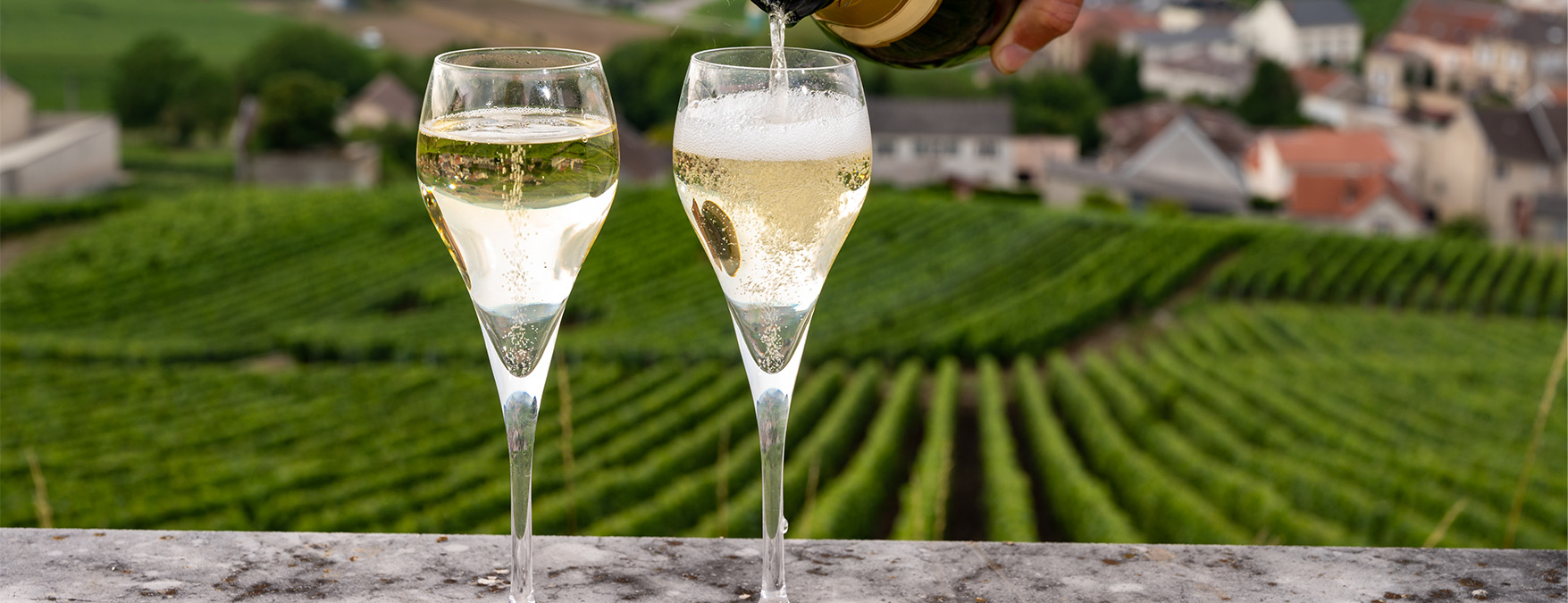Kuva: Champagnelaiset kuohuviinit - ShutterStock