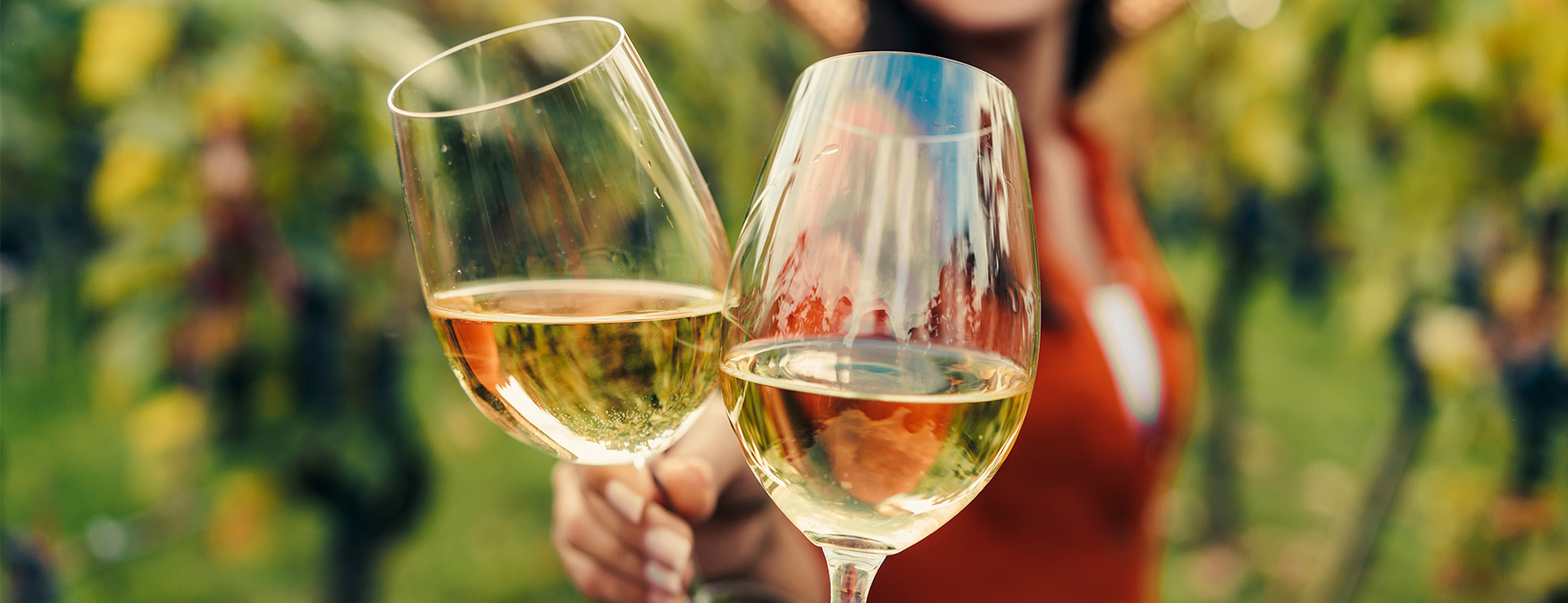Kuva: Sauvignon Blanc - ShutterStock