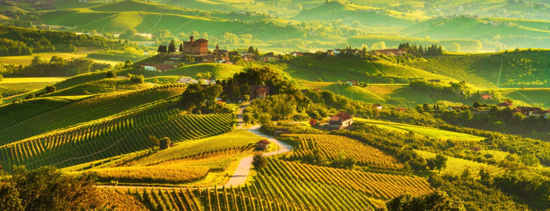 Kuva: Italialaiset viinit - ShutterStock