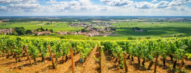 Poilly-Fumé ja Poilly-Fuissé