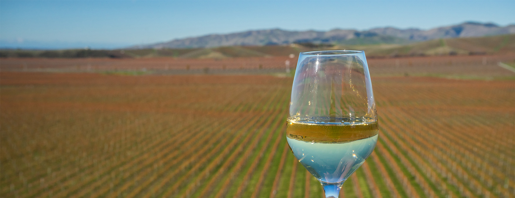 Kuva: Uusiseelantilaiset valkoviinit - ShutterStock