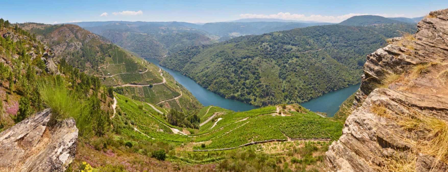 Kuva: Galicialaiset valkoviinit - ShutterStock