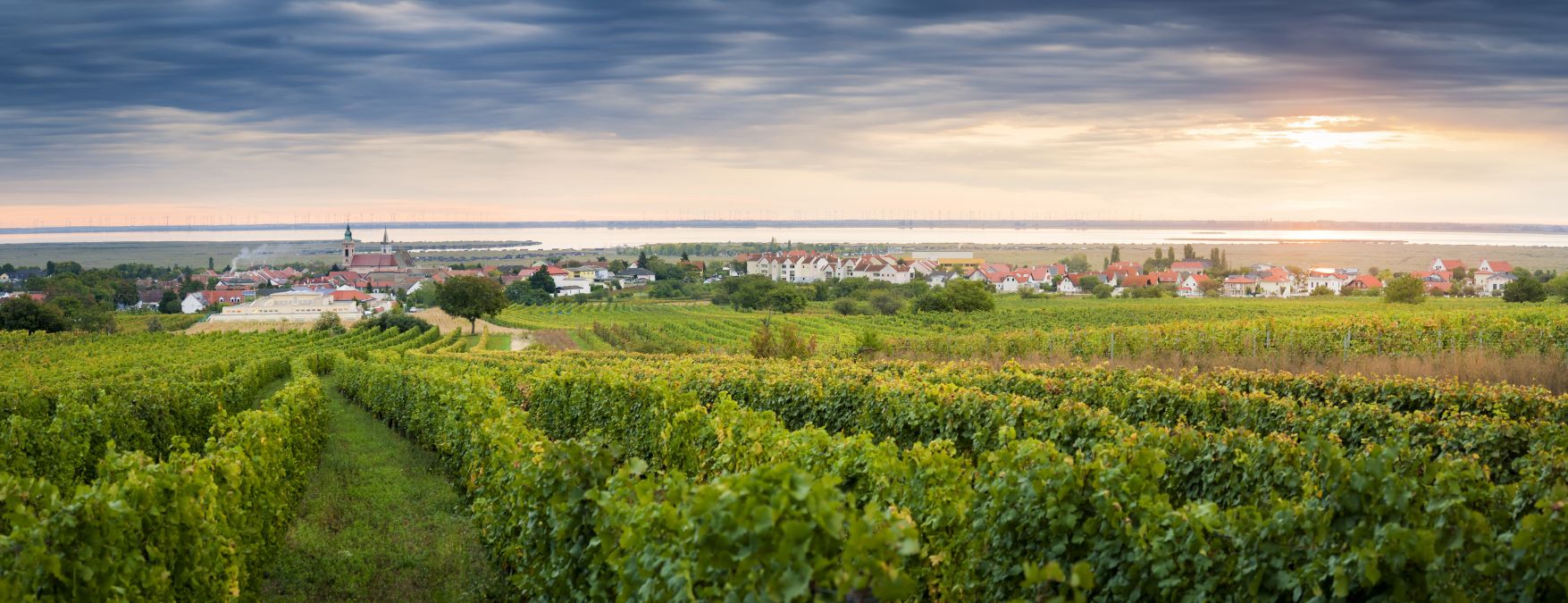 Kuva: Burgenlandin viinit - ShutterStock