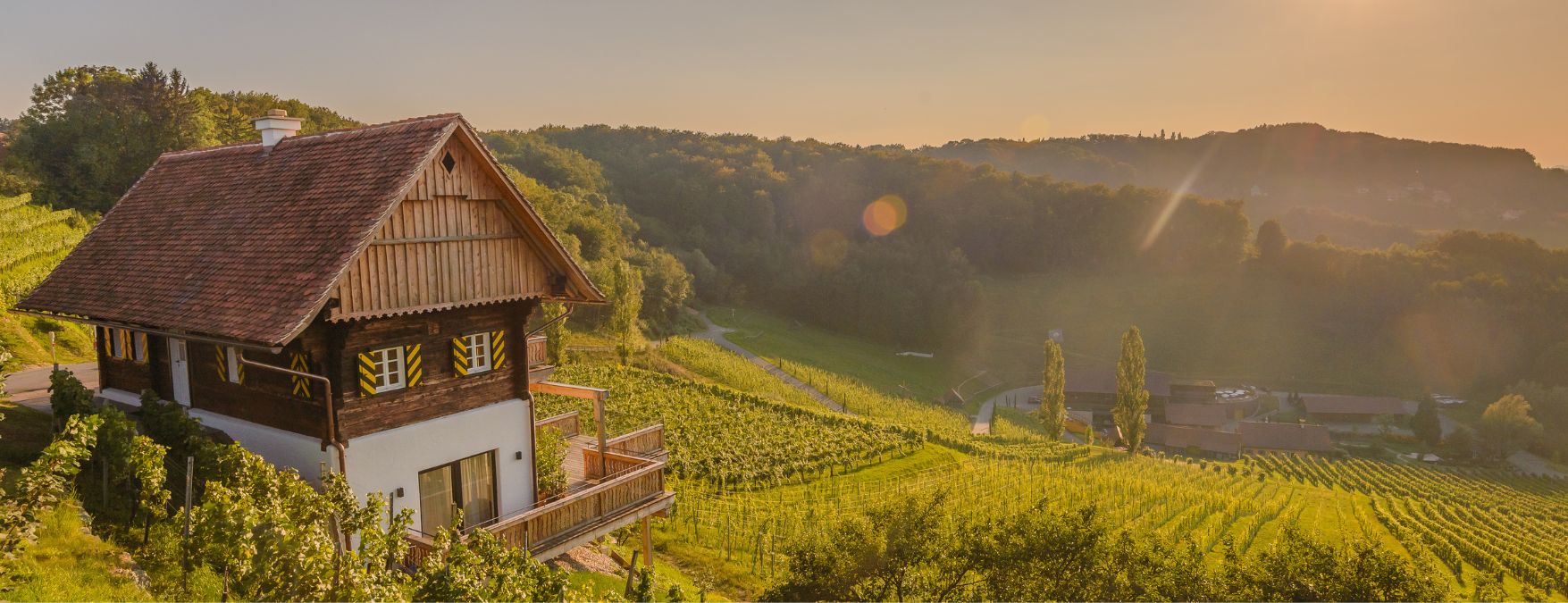 Kuva: Burgenlandin valkoviinit - ShutterStock