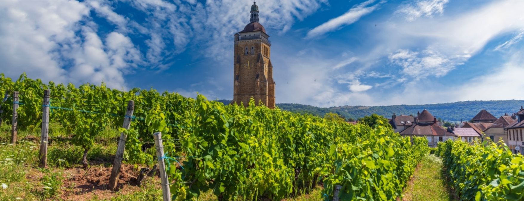 Kuva: Jura - ShutterStock