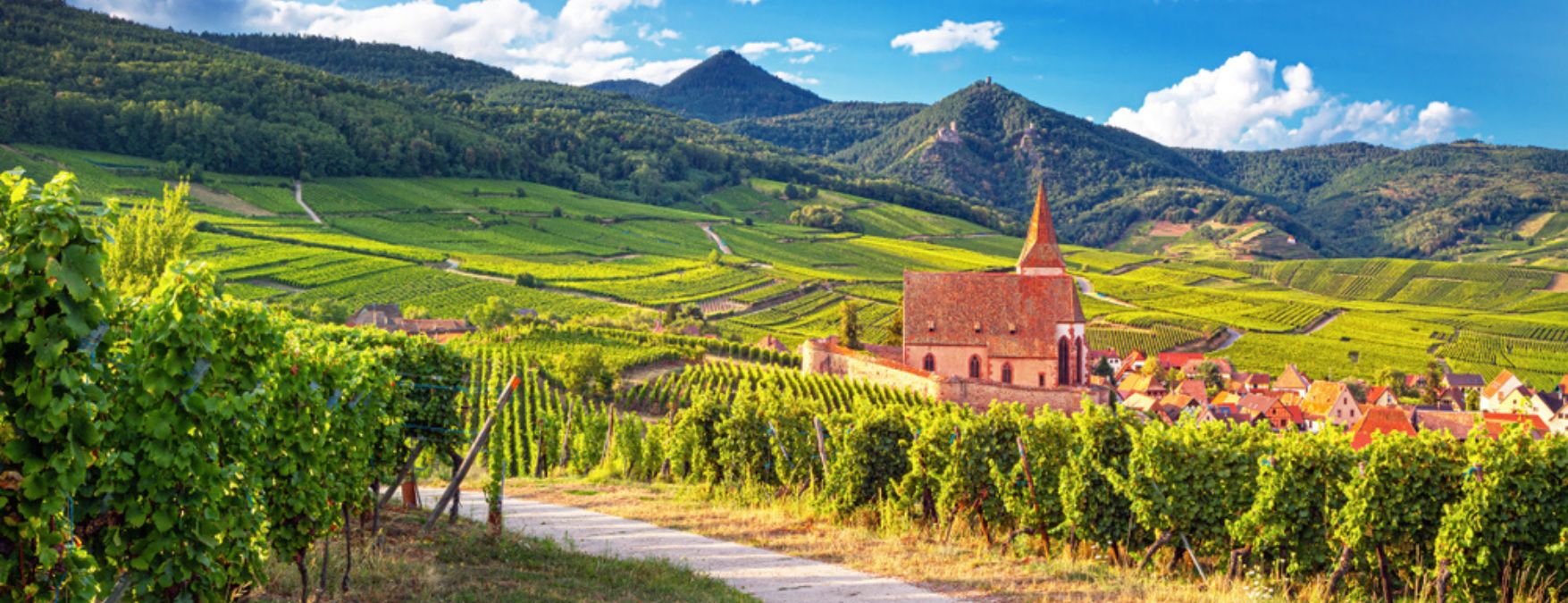 Kuva: Alsacen punaviinit - ShutterStock
