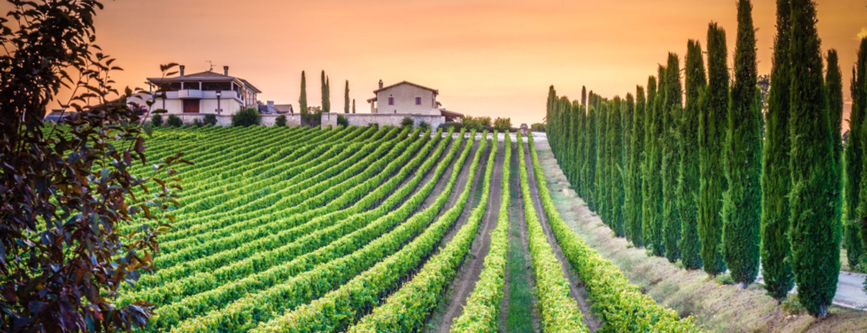 Kuva: Umbria - ShutterStock