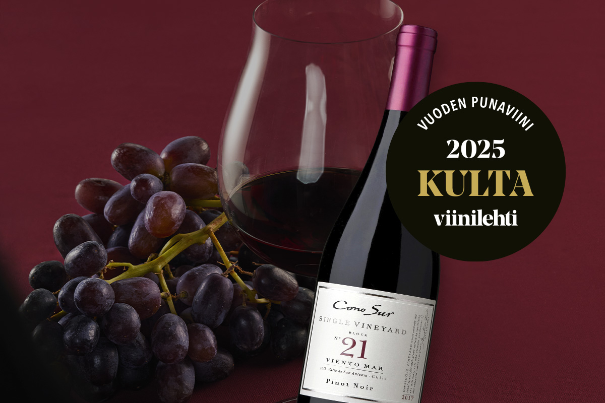 Viinilehden Vuoden punaviini 2025