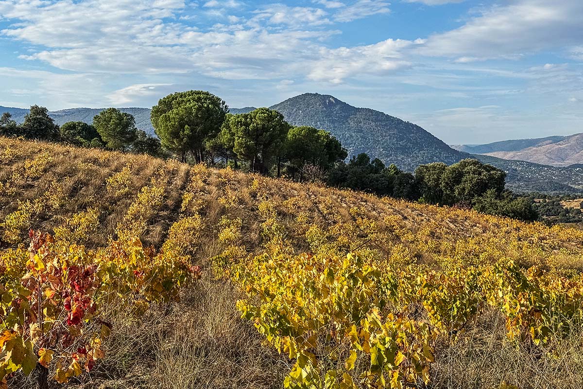 Sierra de Gredosin maisemaa