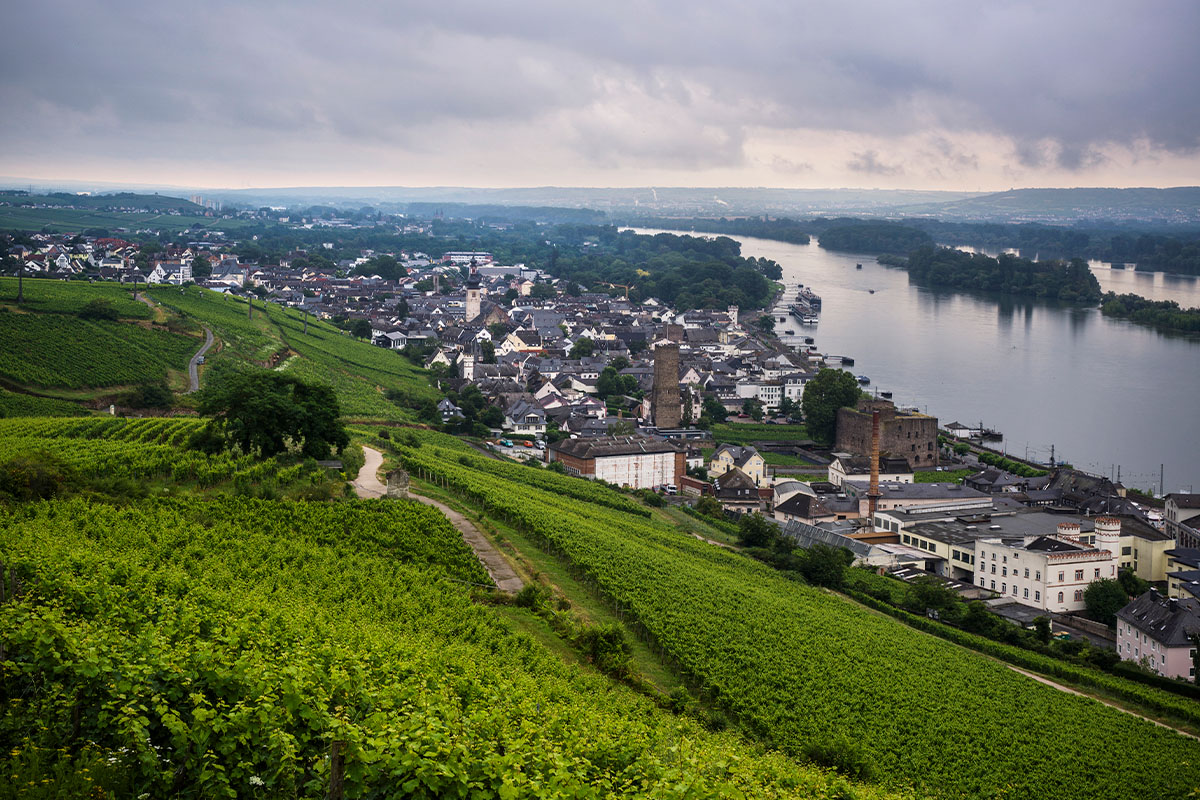 Saksan viinimaisemia